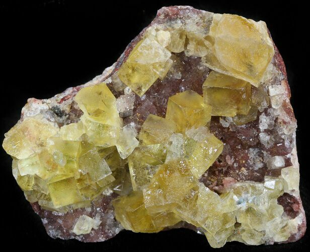 Lustrous, Yellow Cubic Fluorite Crystals - Morocco #44903